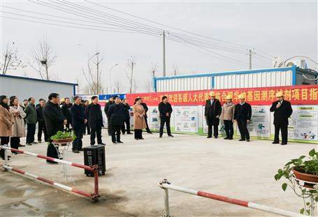 肥東縣人大常委會組織各級人大代表到第十分公司承建項(xiàng)目視察