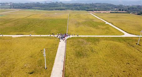 全區(qū)500多技術(shù)人員來觀摩這個項目