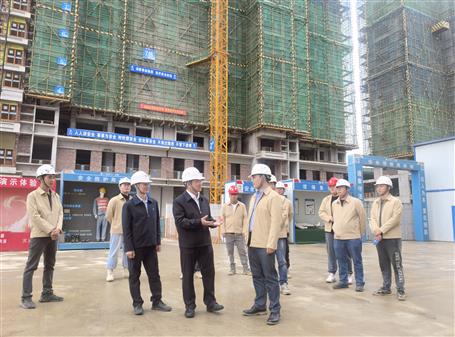 【奮戰(zhàn)四季度·決勝全年穩(wěn)】覃振華到象州項目調研指導