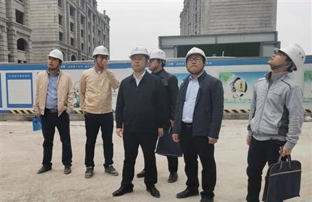 賴海標到桂南分公司項目開展2022年春節(jié)后復工復產(chǎn)暨第一季度安全生產(chǎn)質(zhì)量綜合大檢