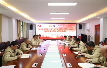 廖立波、唐峰、何勇以普通黨員身份參加所在黨支部2022年度組織生活會(huì)