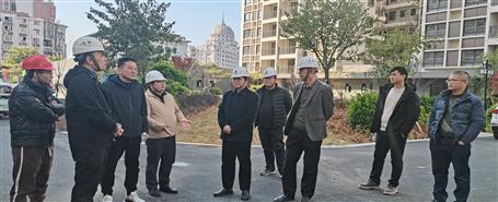 蒙勝益到桂南分公司項目調(diào)研指導工作